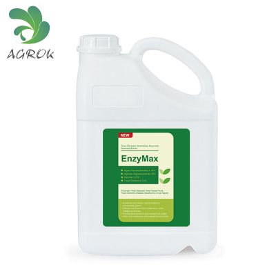 Calcium  Magnesium Medium Element Chelated by Enzymatic Seaweed Extract