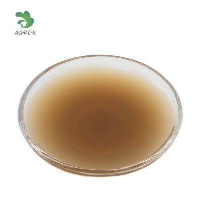 KEYO - Enzymatic Ecklonia Maxima Extract