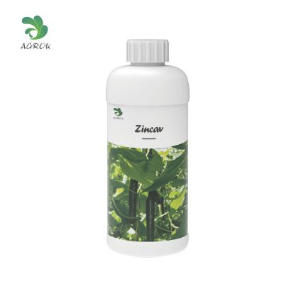 Zincav-Enhanced Anti-Virusal Disease